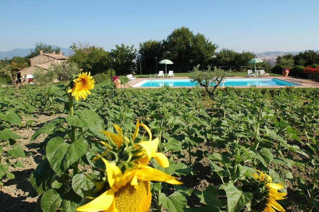 Agriturismo Poggio Porsenna - Con Piscina Villa Proceno Exterior photo